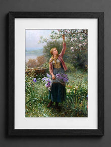 Daniel Ridgway Knight - Picking Blossoms - (mockup) - CZB