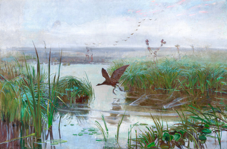 Józef Chełmoński - Kurka wodna