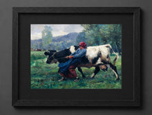 Julien Dupré - The Stubborn Cow - (mockup) - CZCZ