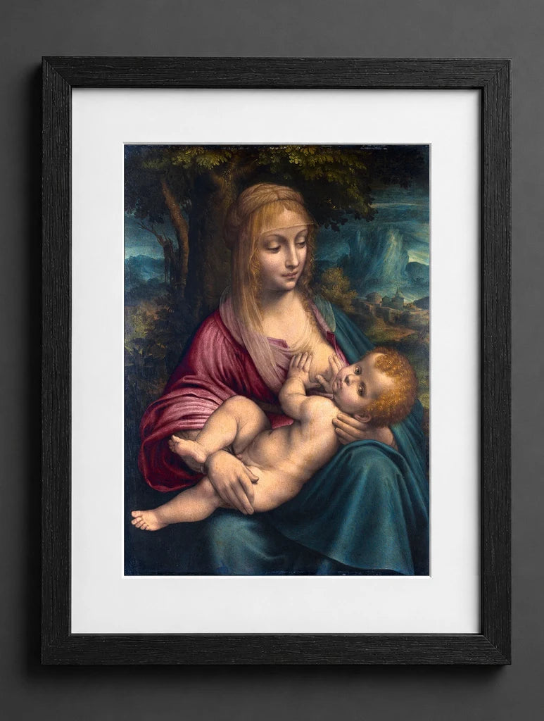 Leonardo Da Vinci - The Virgin and Child - (mockup) - CZB