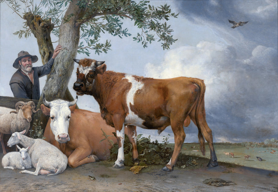 Paulus Potter - Byk