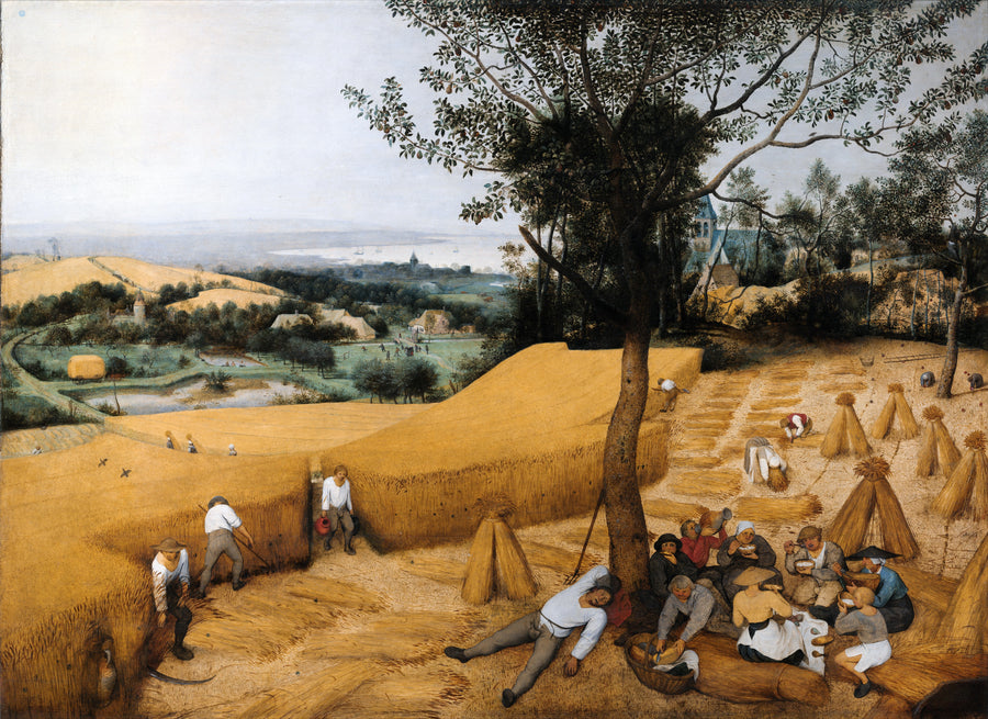 Pieter Bruegel (starszy) - Żniwa