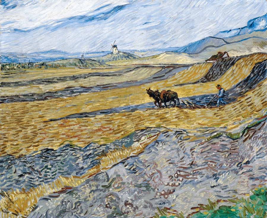 Vincent Van Gogh - Ogrodzone pole z oraczem