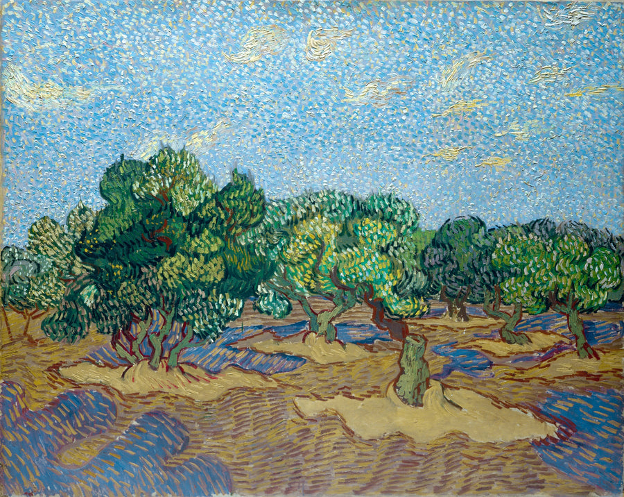 Vincent Van Gogh - Olivos