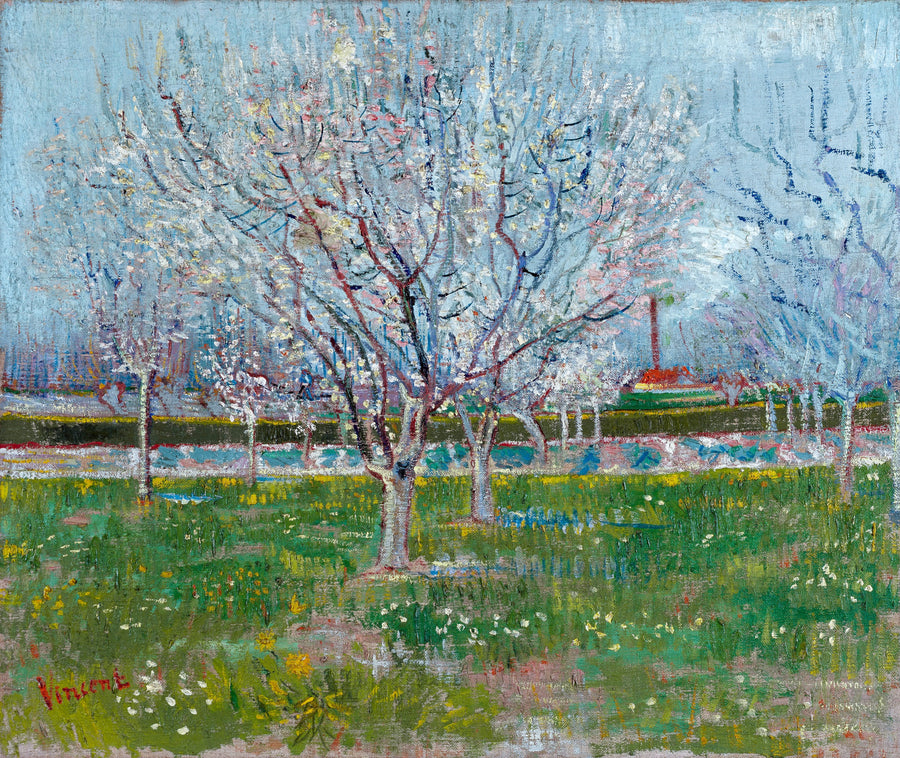 Vincent Van Gogh - Kwitnący sad (śliwy)