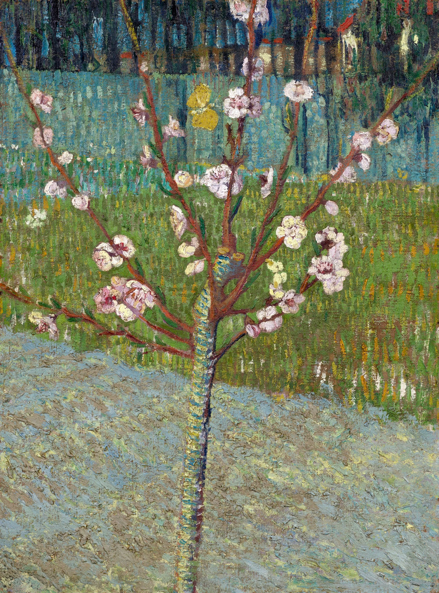 Vincent Van Gogh - Kwitnąca brzoskwinia