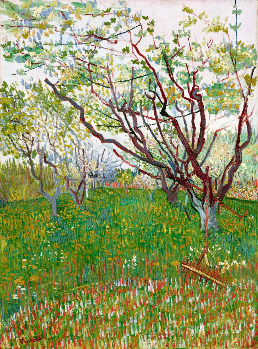Vincent Van Gogh - Kwitnący sad