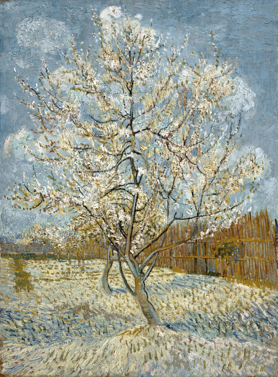 Vincent Van Gogh - Różowe drzewo brzoskwiniowe (Souvenir de Mauve)