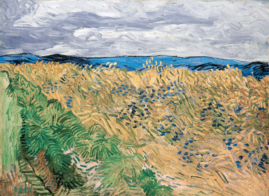 Vincent Van Gogh - Pole pszenicy z chabrami